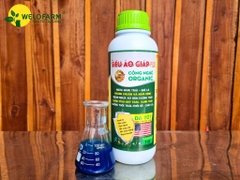 PLUS SIÊU ÁO GIÁP