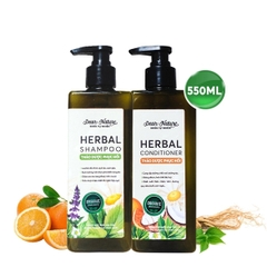 Combo phục hồi nuôi dưỡng tóc HERBAL 550ML
