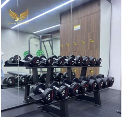 Tạ tay thép bọc cao su Ironbull IR04 nhập khẩu chính hãng 10kg