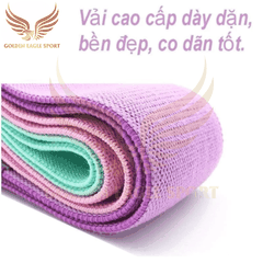 Dây Đàn Hồi Kháng Lực Tập Mông Đùi AoLikes 3604