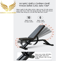 Ghế Tập Tạ Điều Chỉnh Thế Hệ Mới FED-0228
