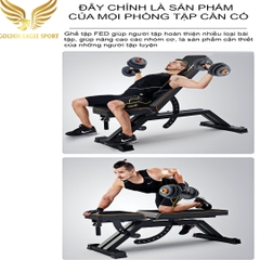 Ghế Tập Tạ Điều Chỉnh Thế Hệ Mới FED-0228