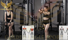 Thông tin Giàn tạ đa năng HQ-368 – Kèm ghế tạ