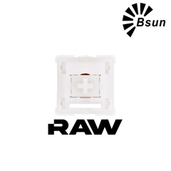 Bsun Raw Switch