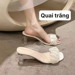 Guốc trong-R4.288.24