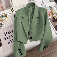 Blazer lửng-TN12.2003