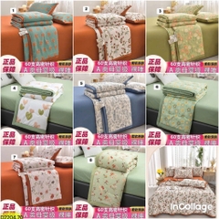 Chăn hè-R23.2404.25