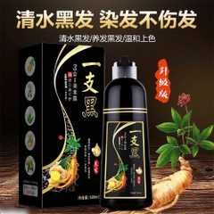 Dầu gội phủ bạc-R16.2009.25