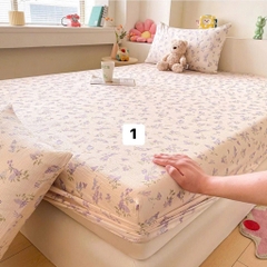 Sét ga gối-R10.1107.25