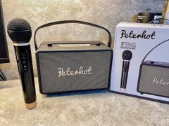 Loa kèm mic-LpR0209