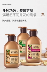 Dầu gội gừng-Rgxgc1609