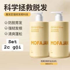 Sét dầu gừng-R13.0705