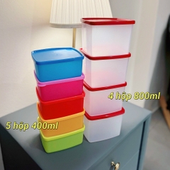 Hộp đựng-Rstnh0812