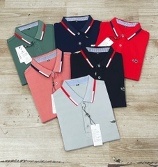 Áo polo nam nữ-TN1.2506