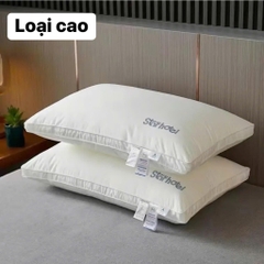 Sét ruột gối-R22.1610.24
