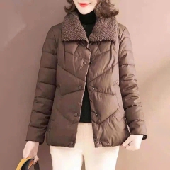 Áo phao cổ lông-R17.0711.24