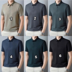 Áo polo nam-R30.0106.25