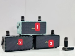 Bộ loa mic-Rlmsx2101
