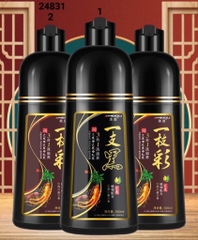 Dầu gội phủ bạc-TN2.0311