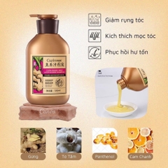 Dầu gội (lẻ)-R12.0709.24