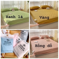 Ga trần-Rgght0911
