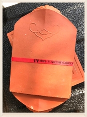 Ngói mũi sò Hạ Long 1