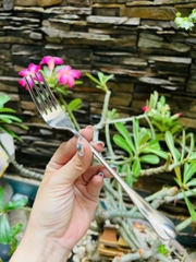 NĨA ĂN CƠM ĂN TRÁI CÂY INOX 304