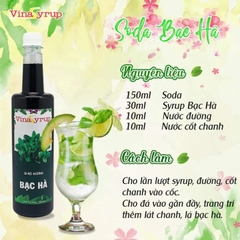 ViNa SyRup Bạc Hà 750ml