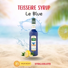Syrup Teisseire Việt Quất