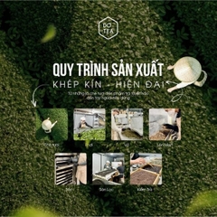 Dotea - Trà đen truyền thống B552 - 500g