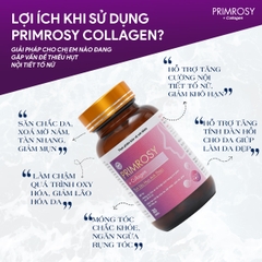Viên uống nội tiết tố Primrosy Collagen Plus