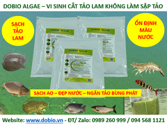DOBIO ALGAE - Men vi sinh kiểm soát và diệt cắt tảo lam hiệu quả