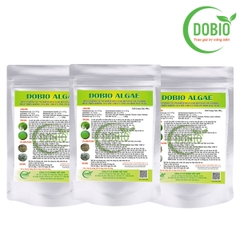 DOBIO ALGAE - Men vi sinh kiểm soát và diệt cắt tảo lam hiệu quả