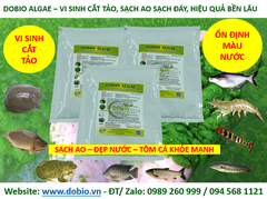 DOBIO ALGAE - Men vi sinh kiểm soát và diệt cắt tảo lam hiệu quả