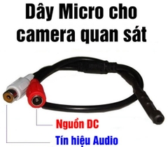 MICRO CAMERA DẠNG DÂY (DÙNG ĐC TẤT CẢ ĐẦU THU)