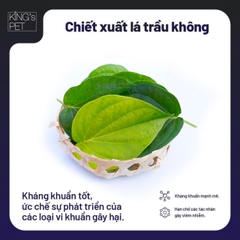 Nước Hoa Thư Giãn Kháng Khuẩn Mùi Hương Thảo King's Pet Dành Cho Chó Mèo 100ml