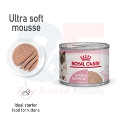 Pate Danh Cho Mèo Mẹ Và Mèo Con Royal Canin Mother & Babycat - 195Gr