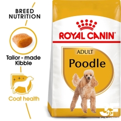 Hạt Cho Chó Poodle Trưởng Thành Royal Canin Poodle Adult