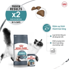 Hạt Hỗ Trợ Tiêu Búi Lông Cho Mèo Royal Canin Hairball Care