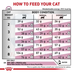 Hạt Cho Mèo Bị Suy Thận: Royal Canin Renal Feline