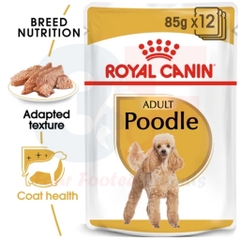 Pate Cho Chó Poodle Trưởng Thành: Royal Canin Poodle Adult Gói 85G