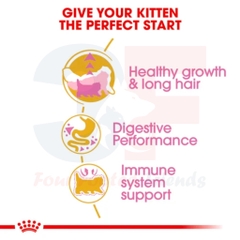 Hạt Cho Mèo Con Ba Tư - Royal Canin Persian Kitten