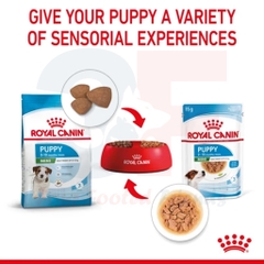 Pate Thức Ăn Ướt Dành Cho Chó Con Giống Nhỏ Royal Canin Mini Puppy Dạng Sốt - Gói 85gr