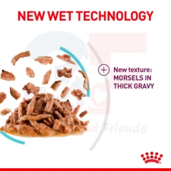 Thức Ăn Ướt Cân Bằng Và Toàn Diện Cho Mèo Trên 12 Tháng Tuổi - Royal Canin Sensory Wet (Feel) Gói 85g