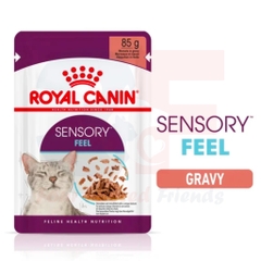 Thức Ăn Ướt Cân Bằng Và Toàn Diện Cho Mèo Trên 12 Tháng Tuổi - Royal Canin Sensory Wet (Feel) Gói 85g