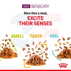 Thức Ăn Ướt Cân Bằng Và Toàn Diện Cho Mèo Trên 12 Tháng Tuổi - Royal Canin Sensory Wet (Feel) Gói 85g