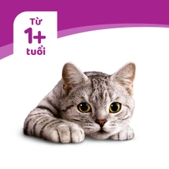 Thức Ăn Whiskas Cho Mèo Lớn Lon 400g