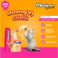 Thức Ăn Hạt Dành Cho Mèo Trưởng Thành Minino