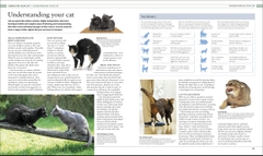 The Cat Encyclopedia: The Definitive Visual Guide