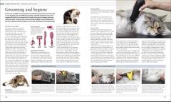 The Cat Encyclopedia: The Definitive Visual Guide